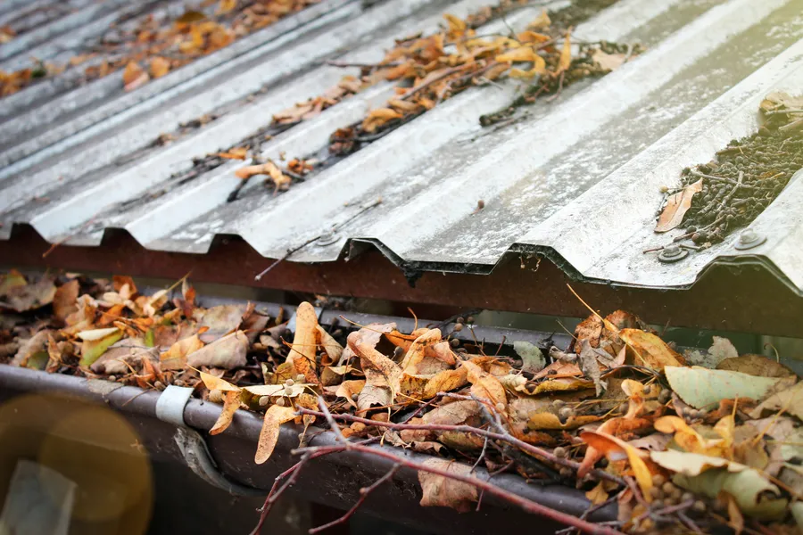 Gutter Cleanup