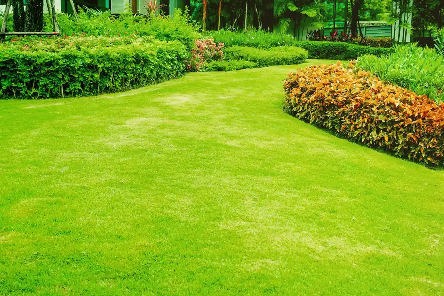 Landscape Design