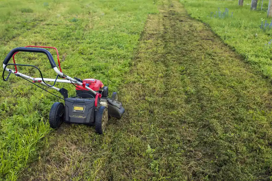 Lawn Mowing