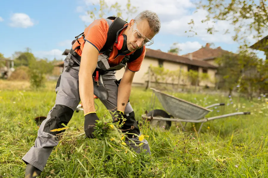 Weed Control